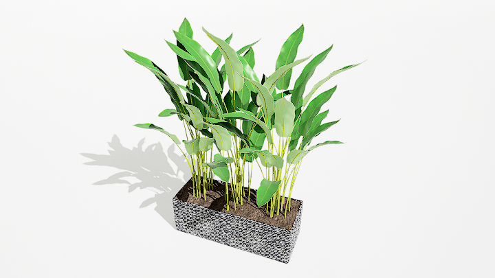 渲染模型_绿植盆栽550