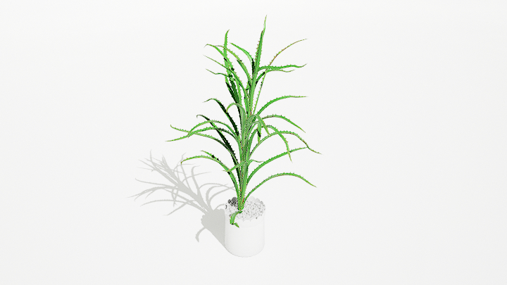 渲染模型_绿植盆栽561