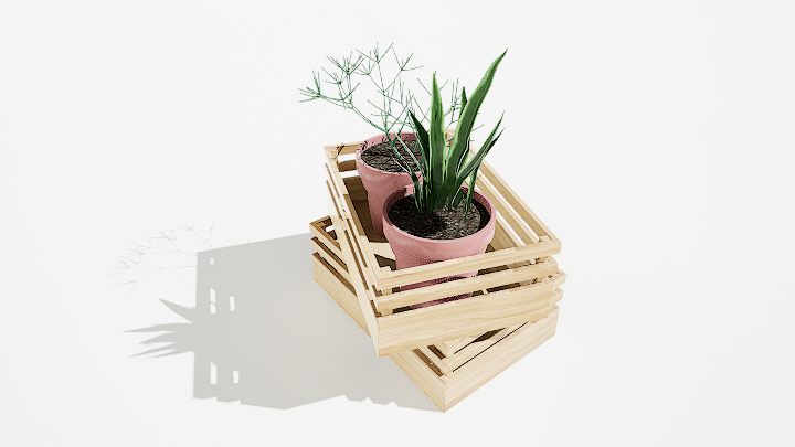 渲染模型_绿植盆栽579