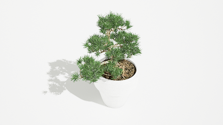 渲染模型_绿植盆栽583