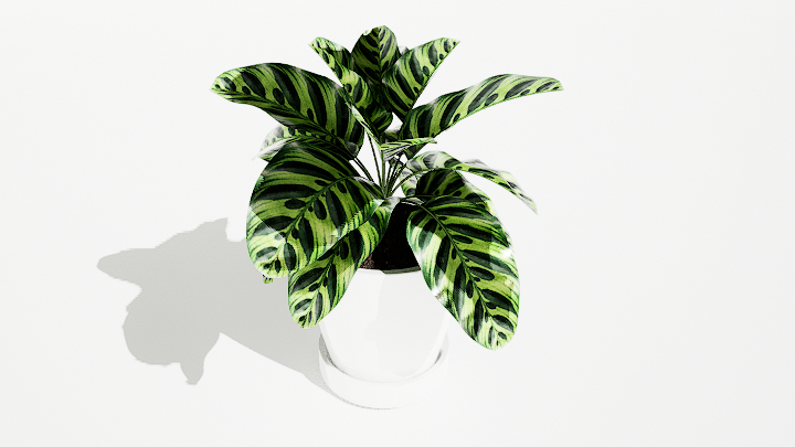 渲染模型_绿植盆栽590