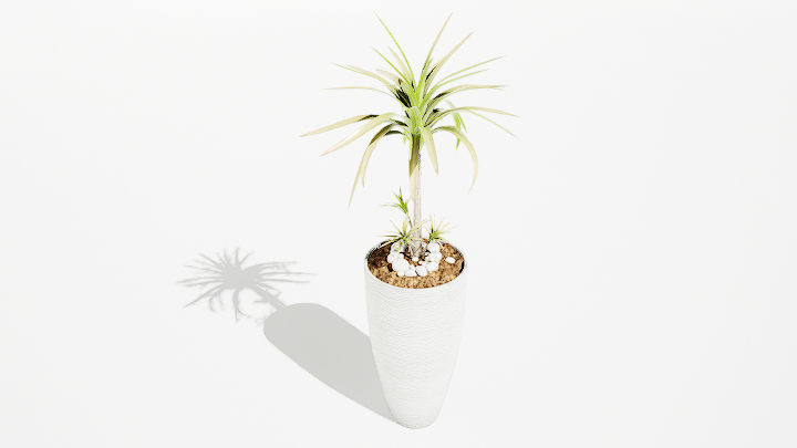 渲染模型_绿植盆栽618