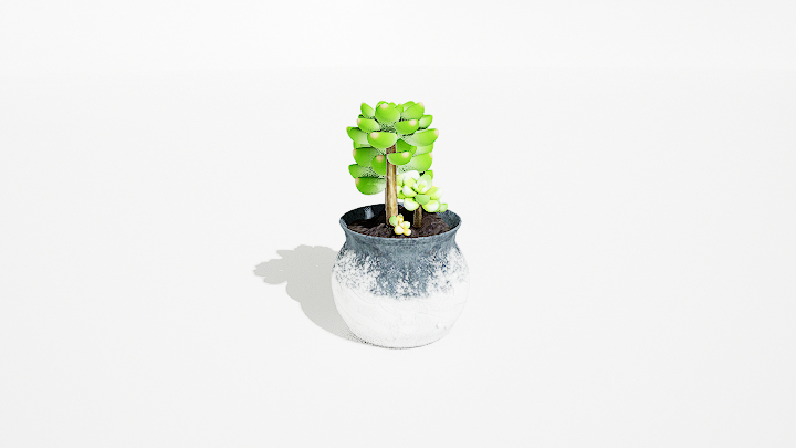 渲染模型_绿植盆栽668