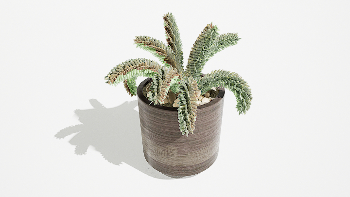 渲染模型_绿植盆栽672