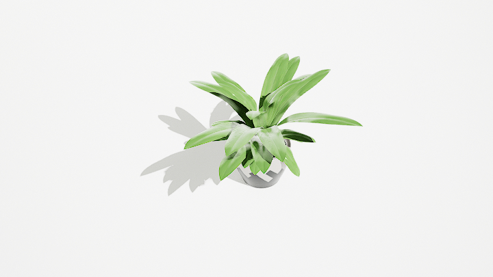 渲染模型_绿植盆栽674