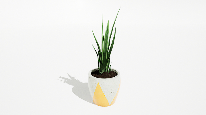 渲染模型_绿植盆栽676