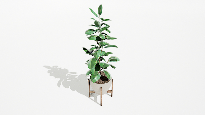 渲染模型_绿植盆栽693