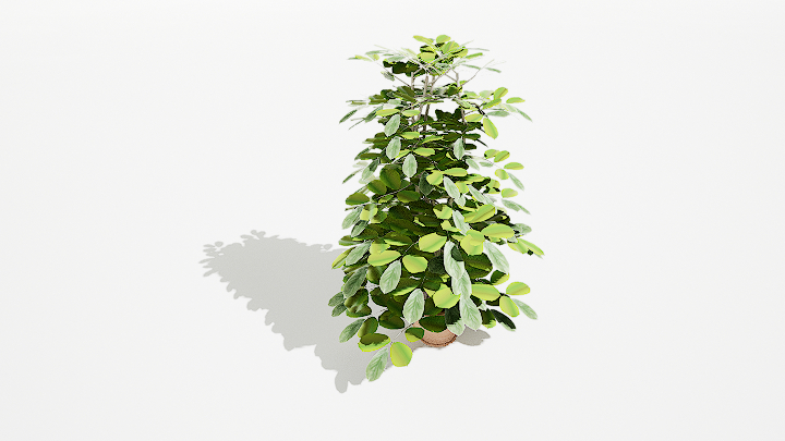 渲染模型_绿植盆栽695