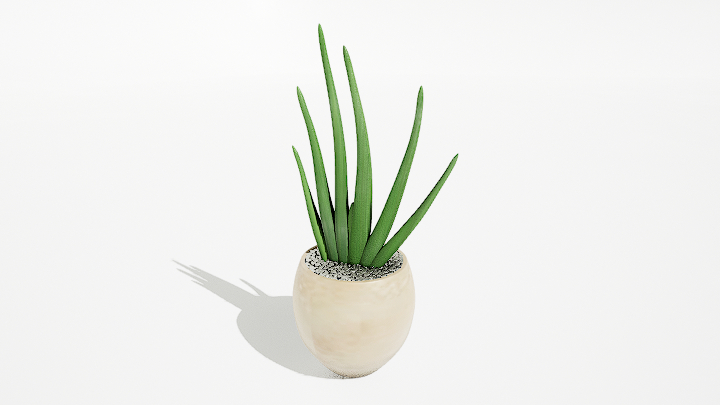 渲染模型_绿植盆栽705
