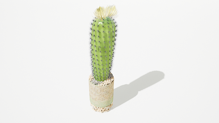 渲染模型_绿植盆栽724