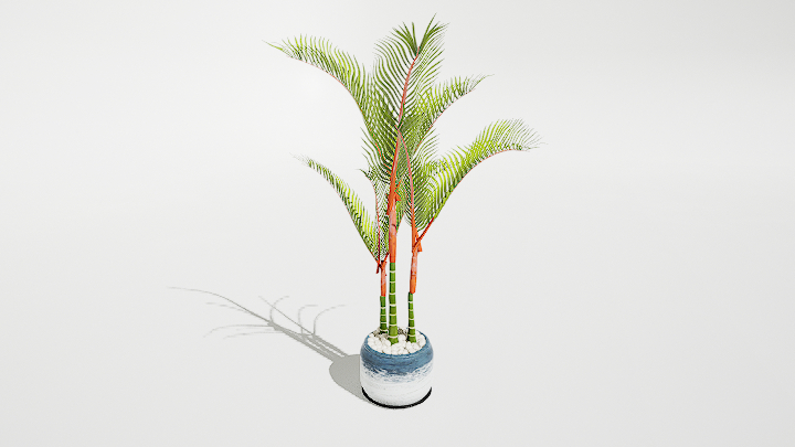 渲染模型_绿植盆栽740