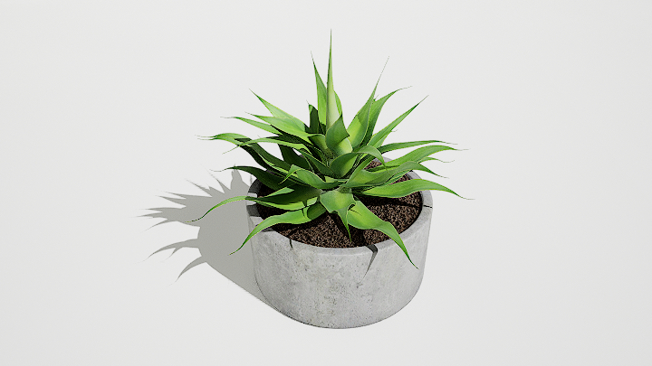 渲染模型_绿植盆栽753