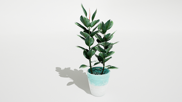 渲染模型_绿植盆栽761