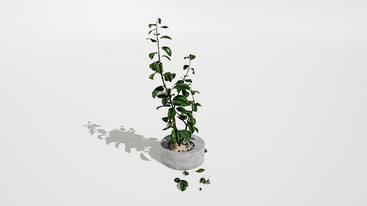 渲染模型_绿植盆栽762