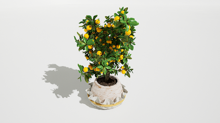 渲染模型_绿植盆栽789