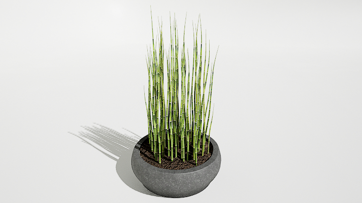 渲染模型_绿植盆栽790