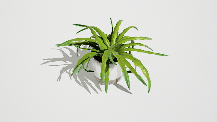 渲染模型_绿植盆栽795