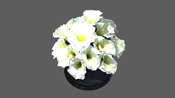 渲染模型_花卉051