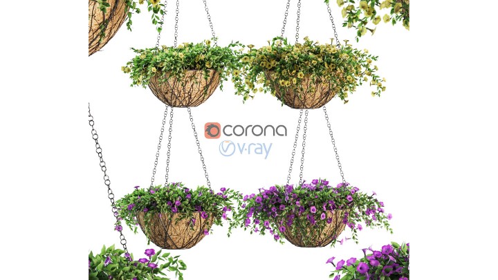 渲染模型_花吊篮001