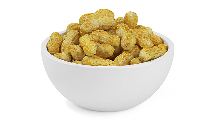 渲染模型_花生001