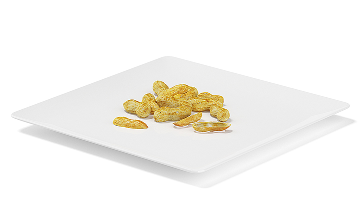 渲染模型_花生002