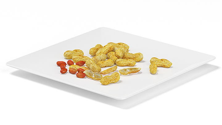 渲染模型_花生003