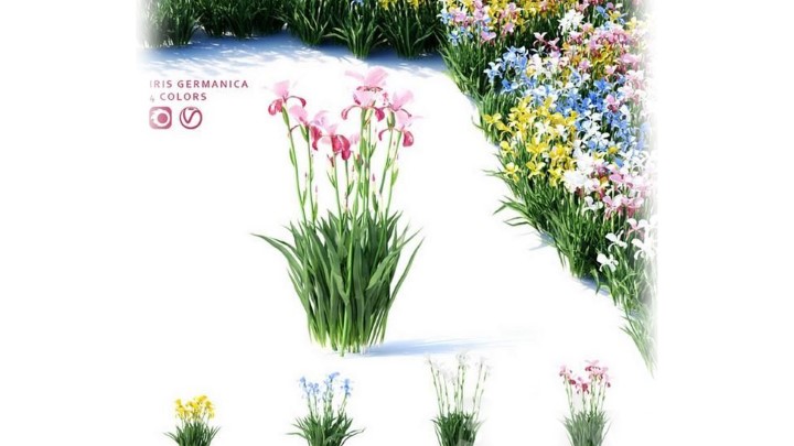 渲染模型_花草091