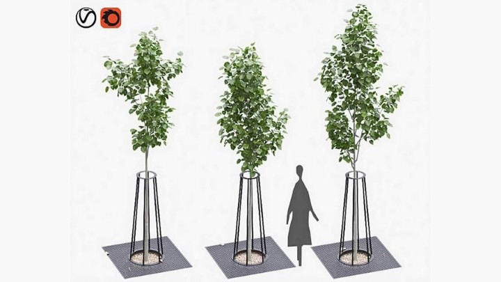 渲染模型_行道树001