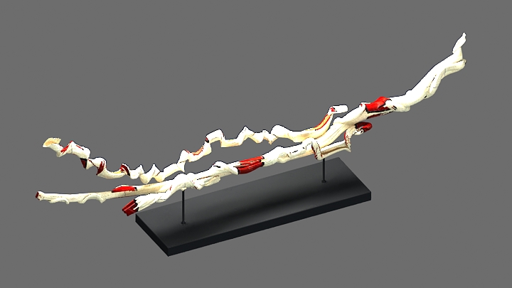 渲染模型_装饰904