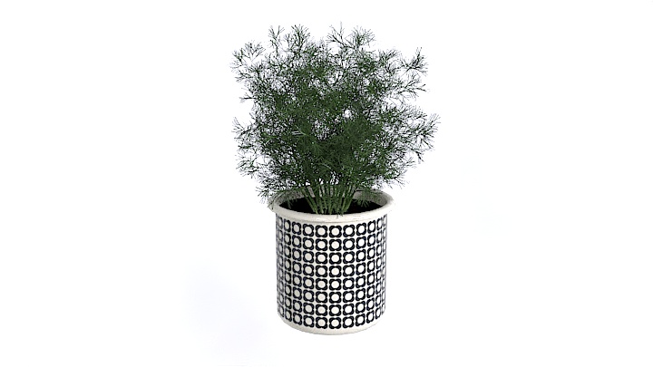 渲染模型_装饰植物059