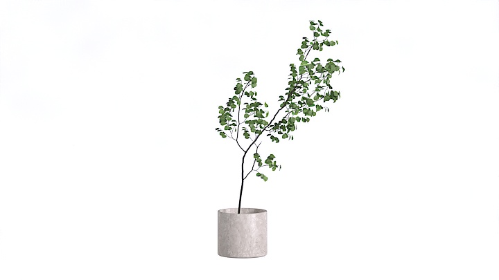 渲染模型_装饰植物070