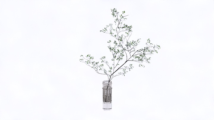 渲染模型_装饰植物081