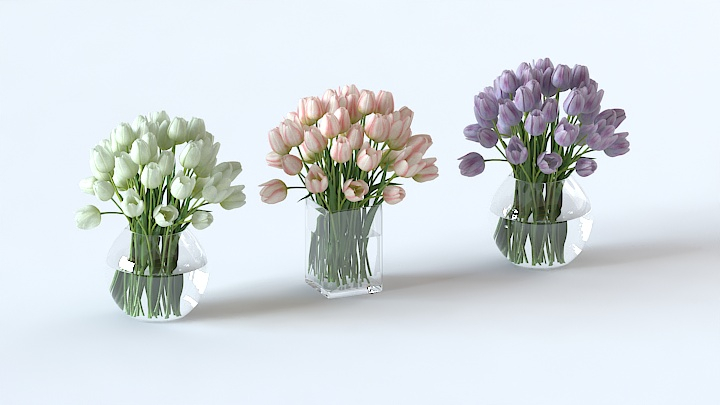 渲染模型_郁金香004