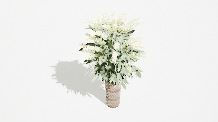 渲染模型_鲜花049