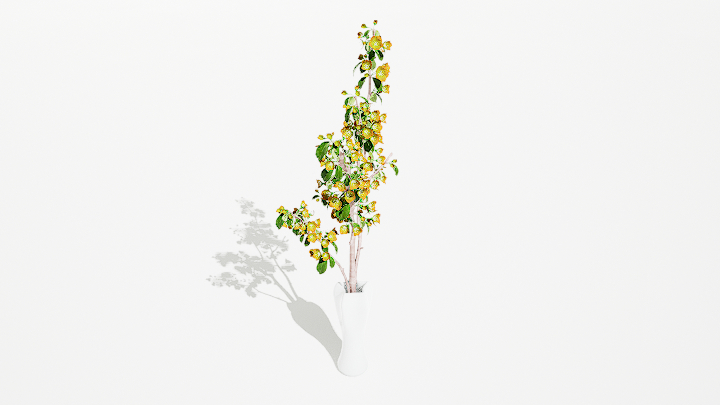 渲染模型_鲜花053