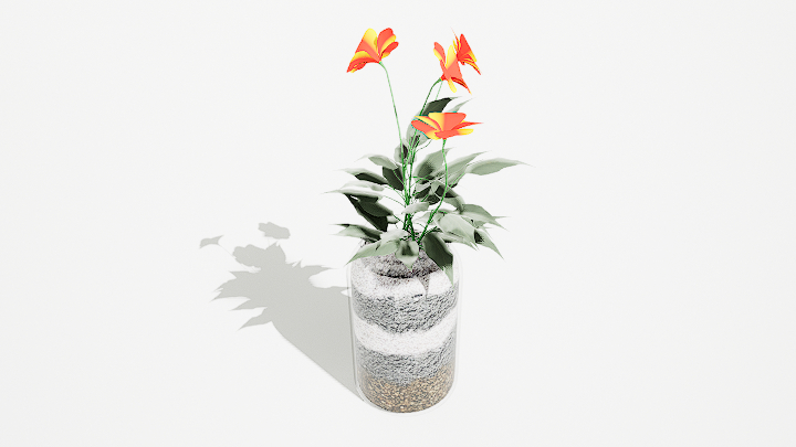 渲染模型_鲜花068