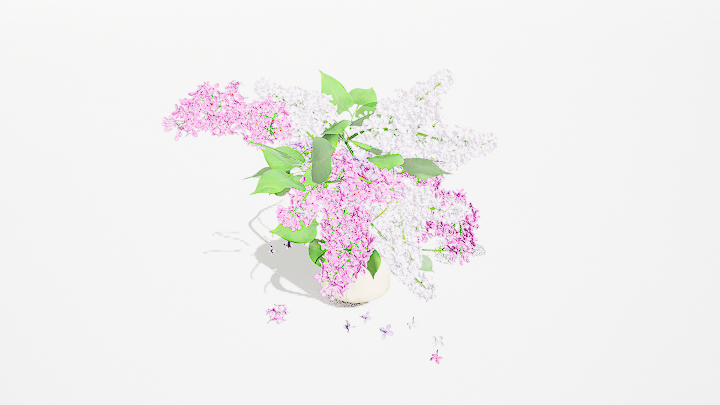 渲染模型_鲜花084