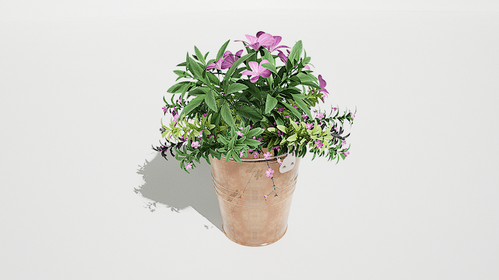 渲染模型_鲜花099