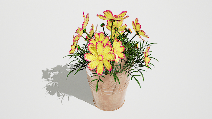 渲染模型_鲜花101