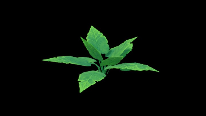 UE项目资源_模型资源_卡通_草141