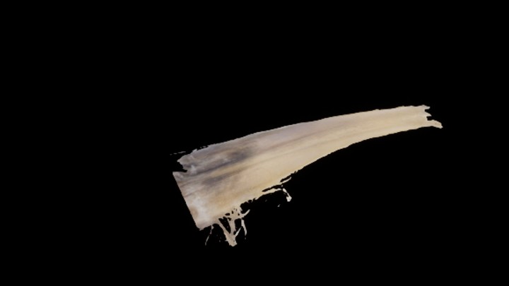 UE项目资源_模型资源_叶003