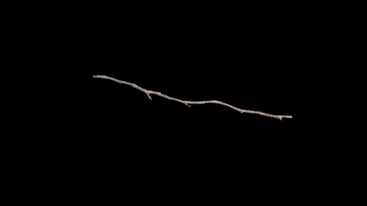 UE项目资源_模型资源_断枝013