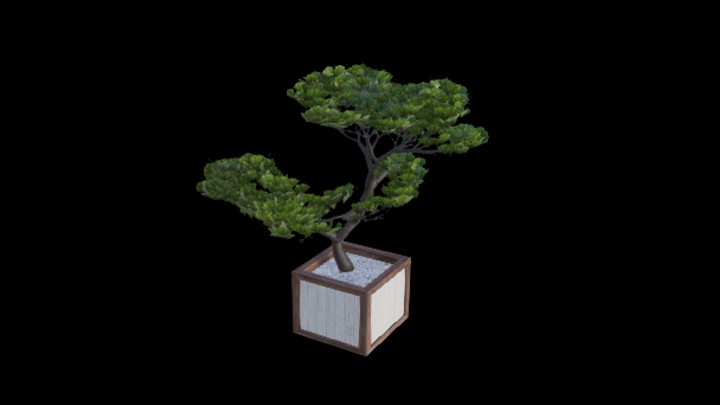 UE项目资源_模型资源_树1979