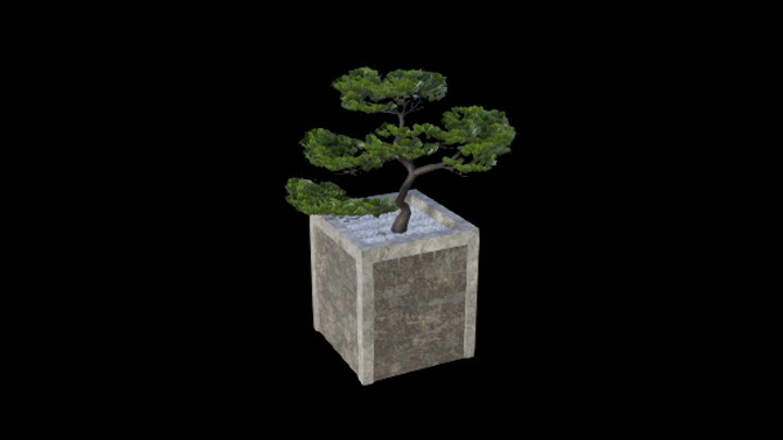 UE项目资源_模型资源_树1980