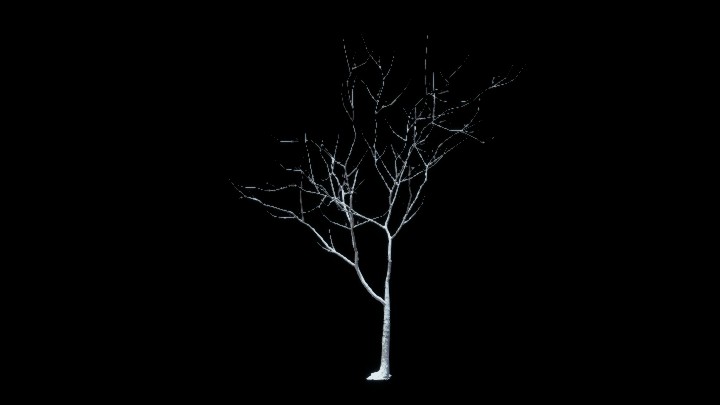 UE项目资源_模型资源_树1994