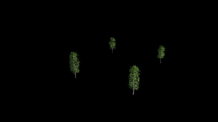 UE项目资源_模型资源_树2002