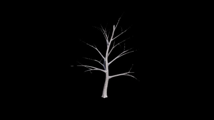 UE项目资源_模型资源_树2031