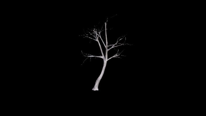 UE项目资源_模型资源_树2032