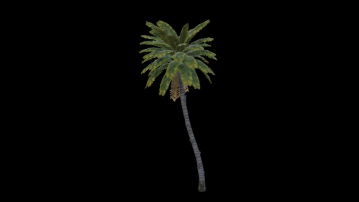 UE项目资源_模型资源_树2033