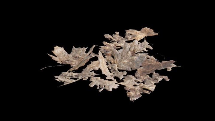 UE项目资源_模型资源_树叶125